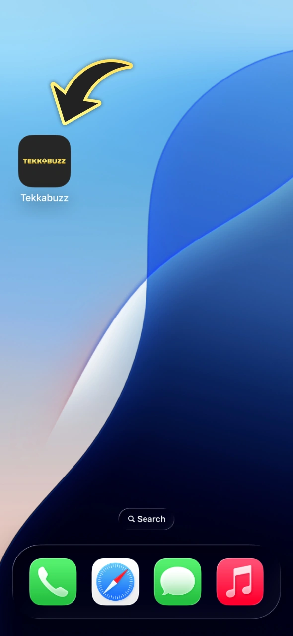 Click on TekkaBuzz PWA app to start playing.